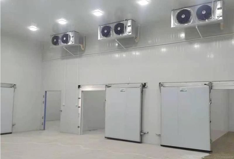 廣東倍爾泰醫藥有限公司